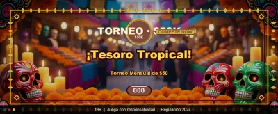 Top Casinos Online México banner
